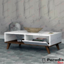 Table Basse Moderne avec tiroir – Modèle TB-08